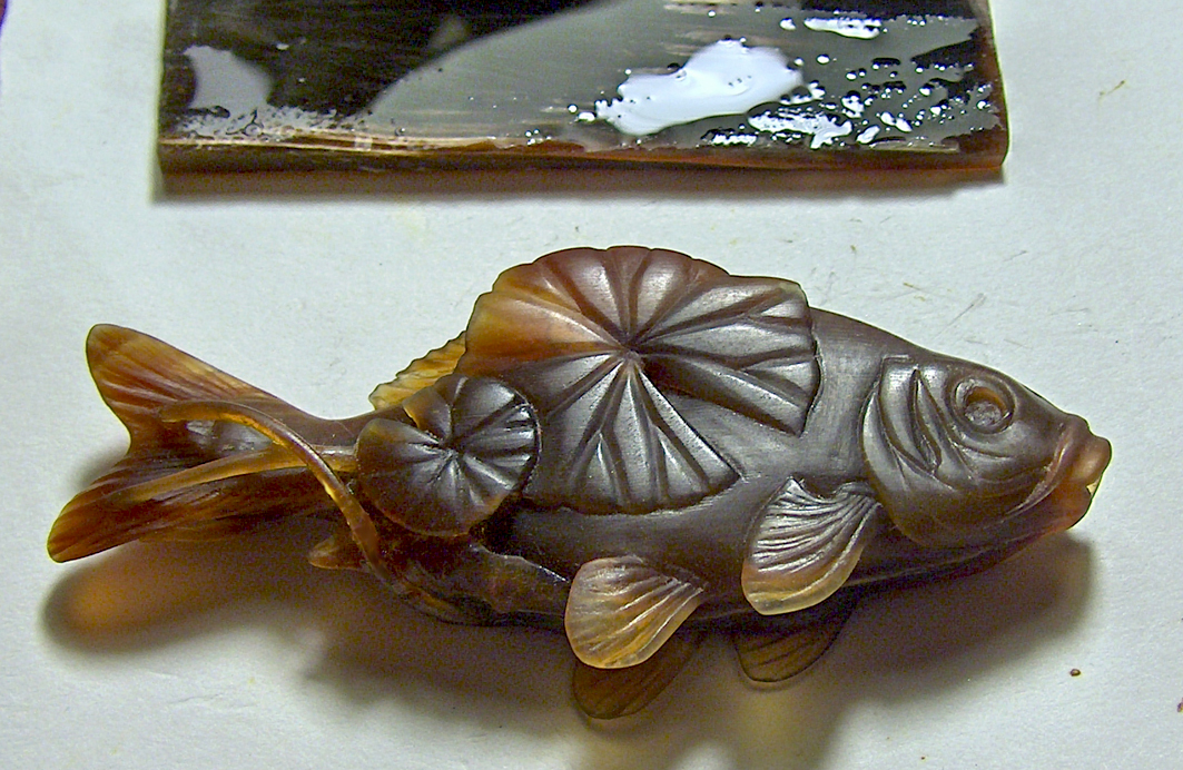 Carp among lotus leaves09